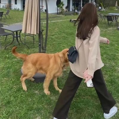 走过花季